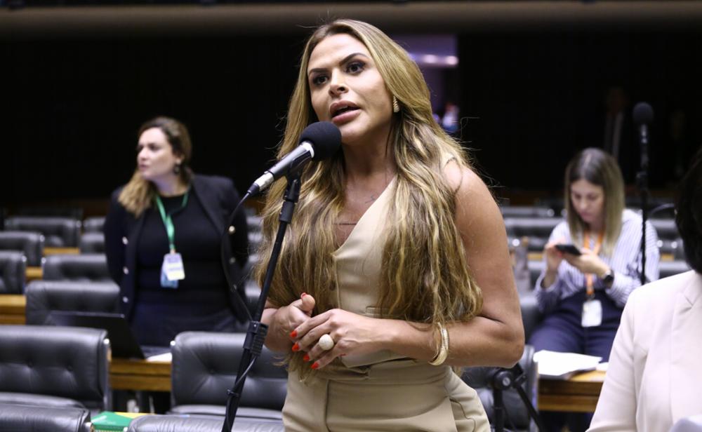 Silvye Alves, deputada federal
