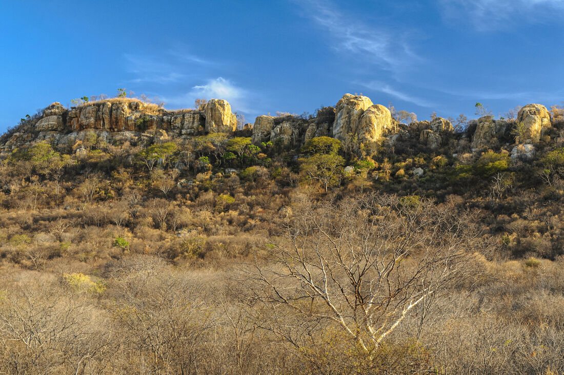 Registro da paisagem da Caatinga em Catingueira (PB)