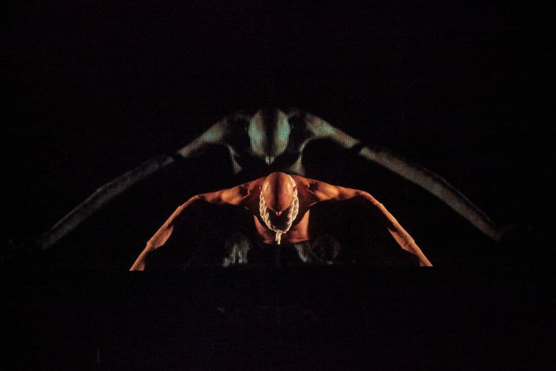 "Enquanto você voava, eu criava raízes"