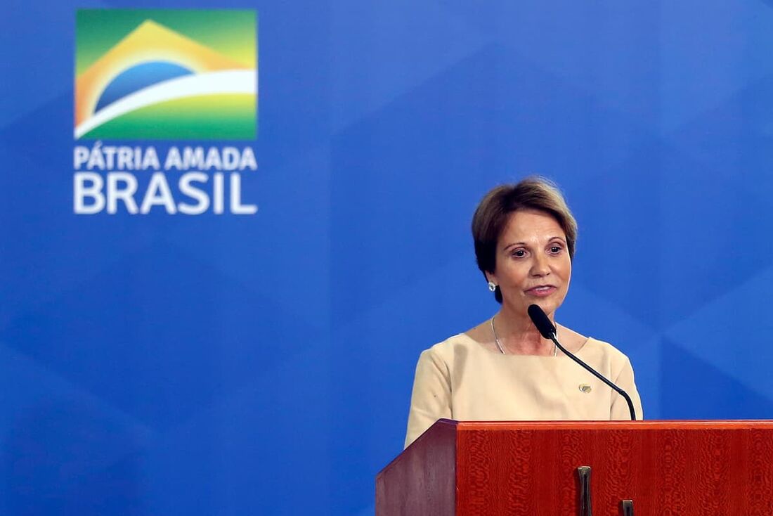  A senadora e vice-presidente da FPA,, Tereza Cristina