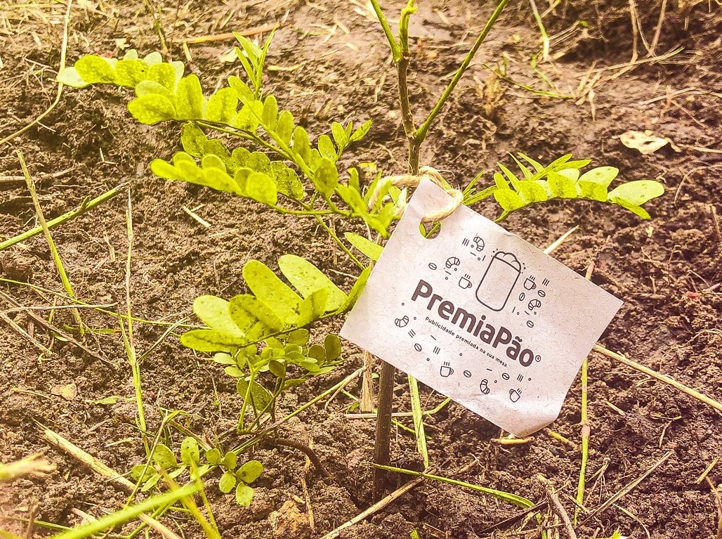 Projeto de sustentabilidade da PremiaPão