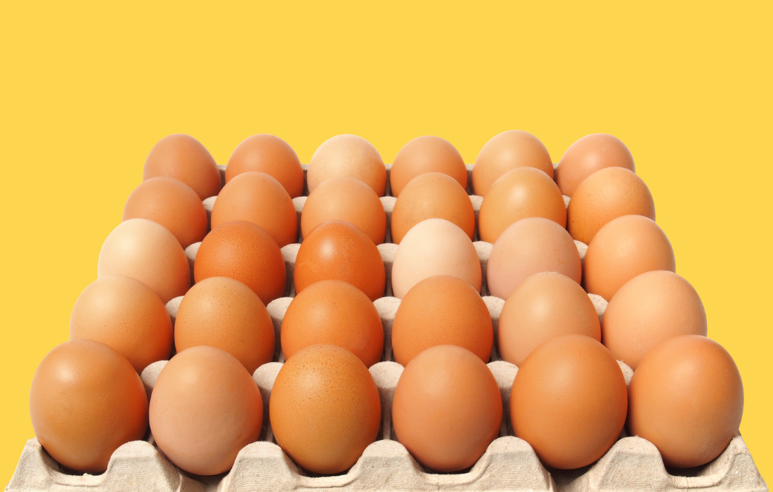 O ovo é o alimento mais nutritivo do mundo