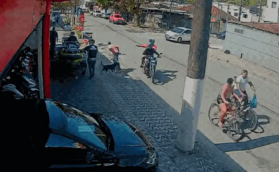 Cachorro reage a homem armado e impede crime em São Paulo