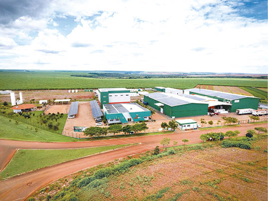 Solubio e AgroField: soluções biológicas sustentáveis