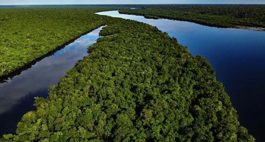 Vista aérea da Amazônia 
