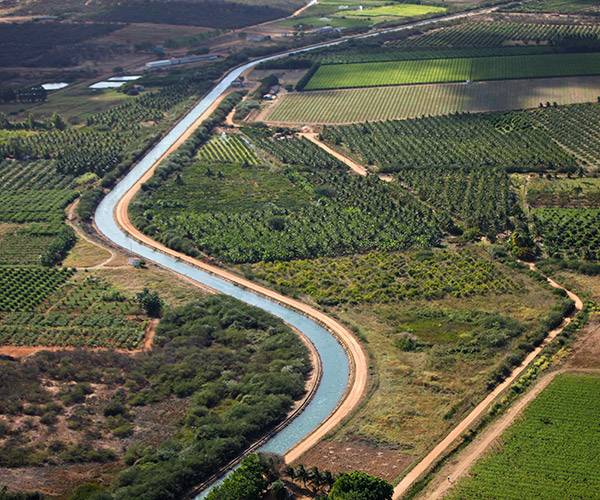 Fruticultura no Vale do São Francisco pode receber subsídio