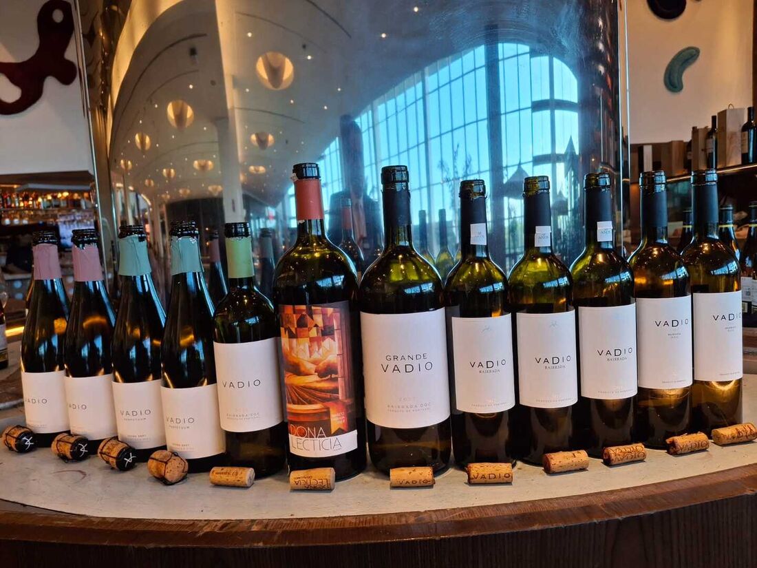 A vinícola Vadio é um pequeno e apaixonado projeto familiar situado na aldeia de Poutena, na renomada região da Bairrada, ca