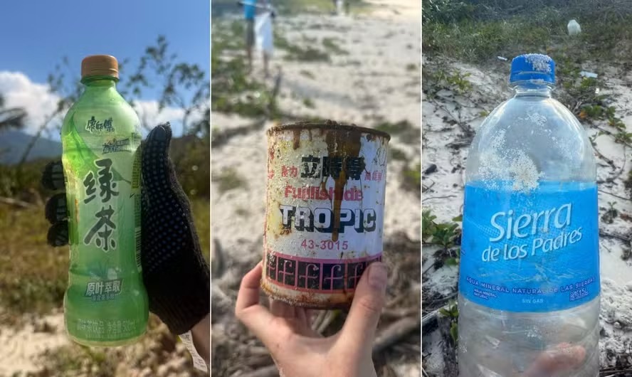 Mutirão de Limpeza encontra plásticos que podem ser ingeridos por tartarugas e aves marinhas 