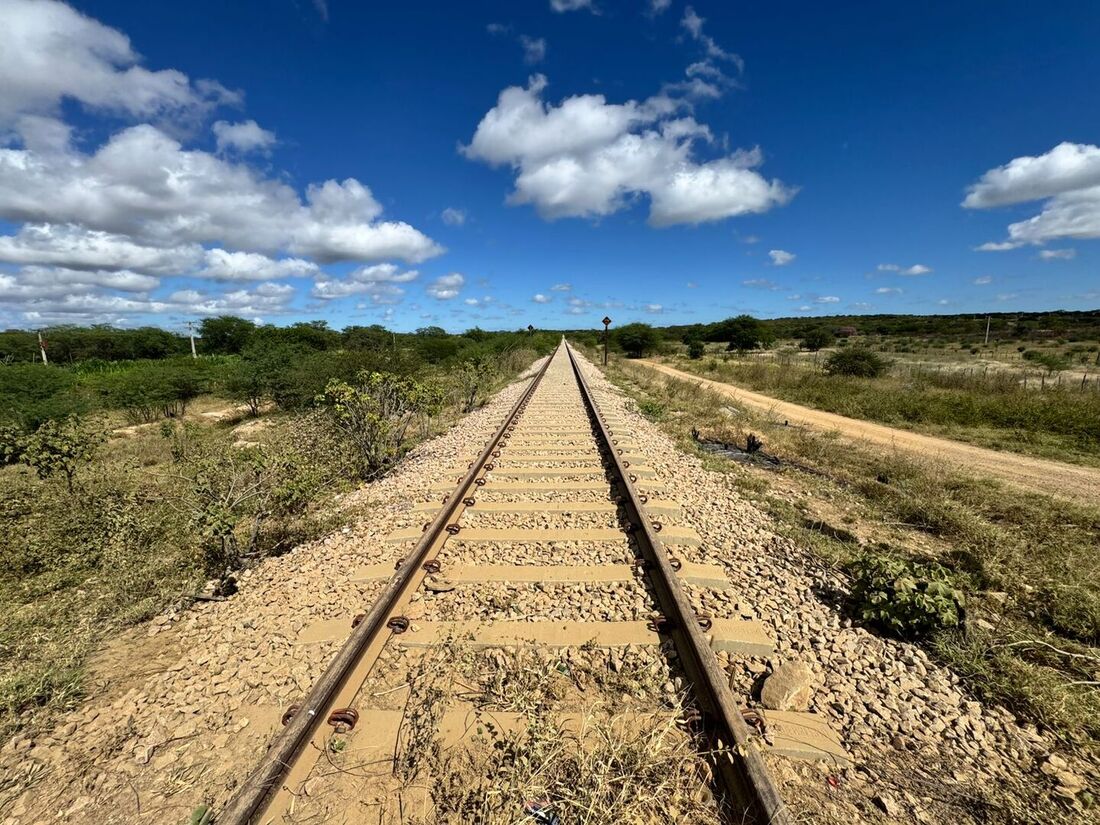 Ramal da Ferrovia Transnordestina pode atender ao escoamento da produção do Vale do São Francisco