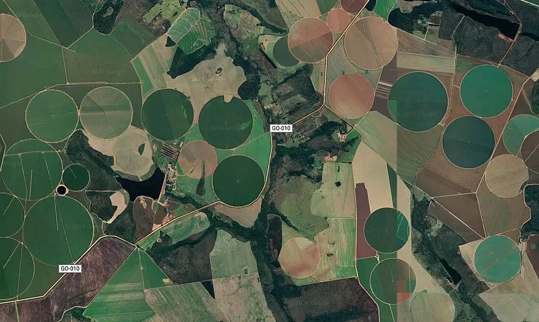 Suspensão da Moratória da Soja pelo Cade preocupa Meio Ambiente