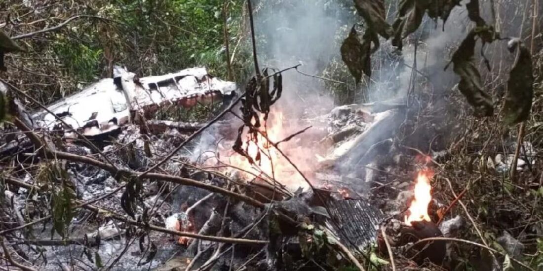 Quatro pessoas morrem após queda de avião na floresta amazônica