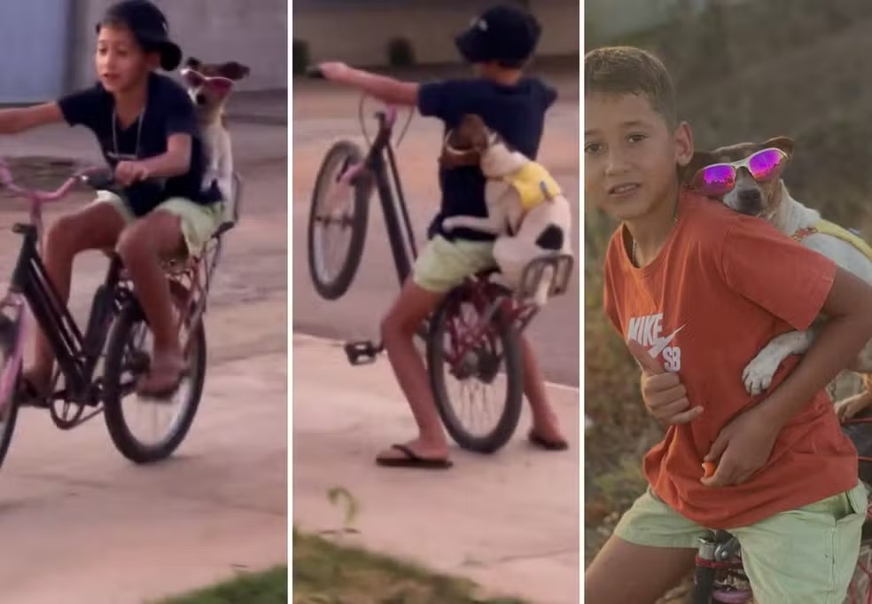 Vídeos publicados nas redes sociais acumulam milhões de visualizações