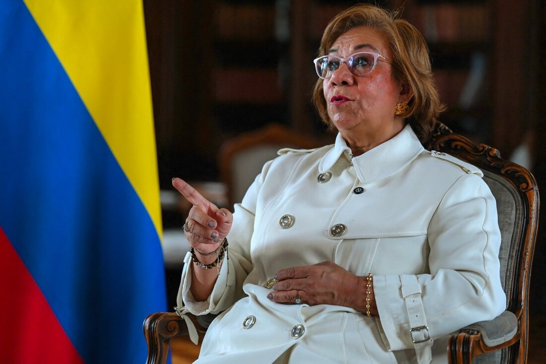 Rosa Villavicencio disse que o envio de vários navios de guerra dos EUA para a Venezuela foi "desproporcional" e que a ameaça de intervenção militar estava abalando a região.