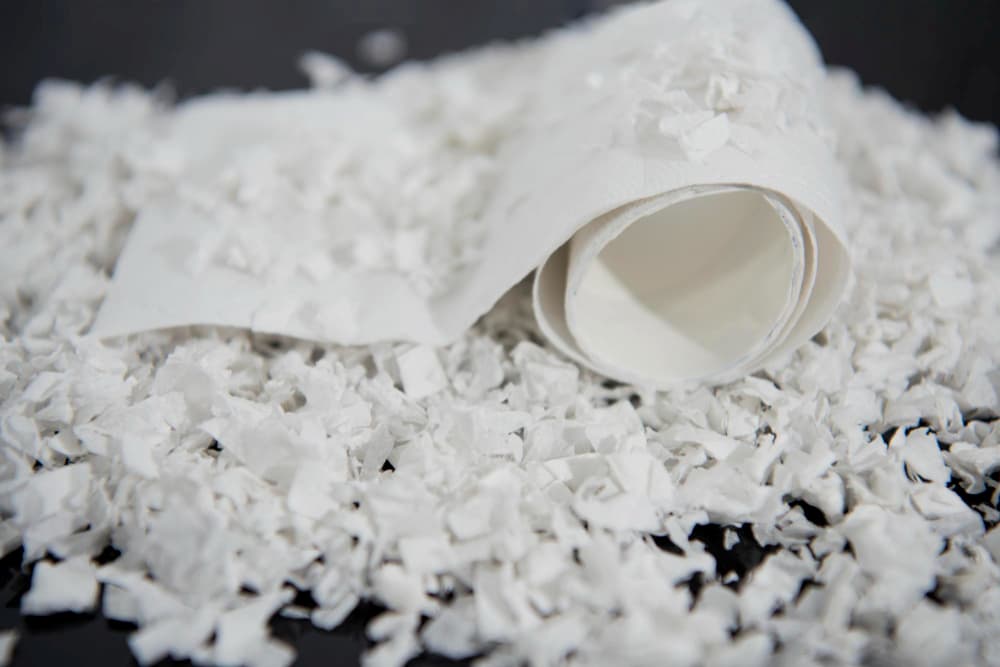 O Brasil é o maior fornecedor de celulose do mundo