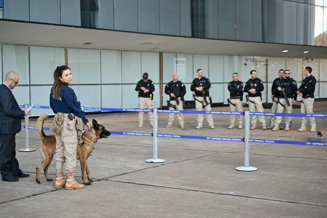 STF tem nível máximo de segurança e policiais com cães farejadores para julgamento de Bolsonaro