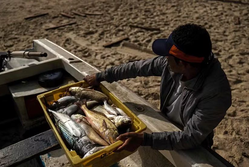 Levantamento revela falhas graves na gestão do benefício, incluindo pagamentos indevidos, inconsistências cadastrais e registros em municípios sem relação com a atividade pesqueira