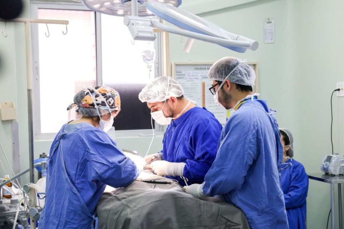 Cirurgia realizada durante o mutirão do Agora Tem Especialistas