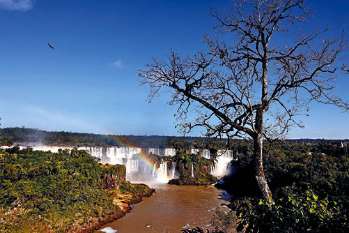 A sociedade precisa observar as exigências da mudança climática