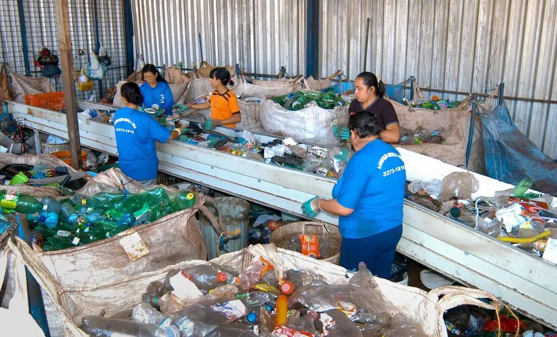 Reciclagem - setor também gerou mais empregos, totalizando 20.043 novos postos de trabalho diretos, um crescimento de 7,7% em relação ao ano anterior
