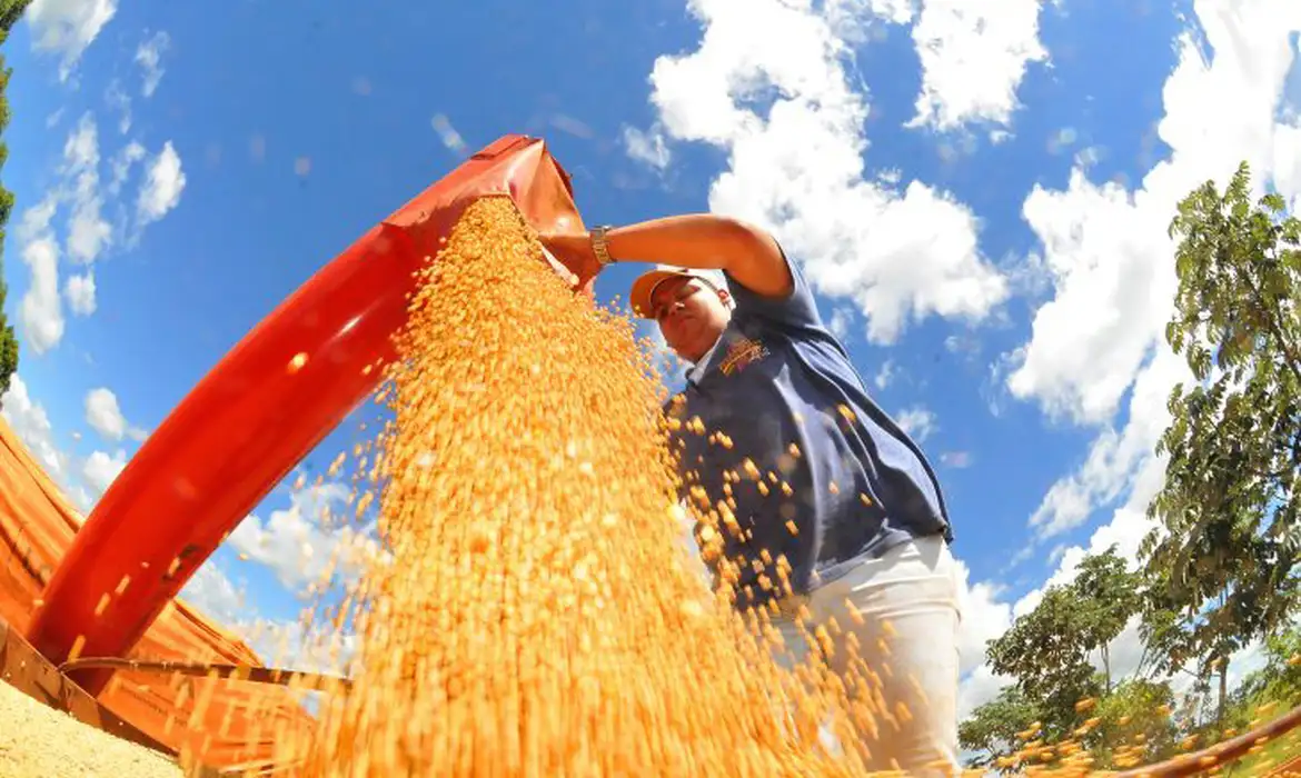 1ª previsão para safra 2025/26 indica produção de 354,7 mi/t