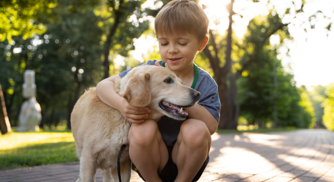A exposição precoce a alérgenos caninos pode prevenir a sensibilização e alterar o microbioma nasal