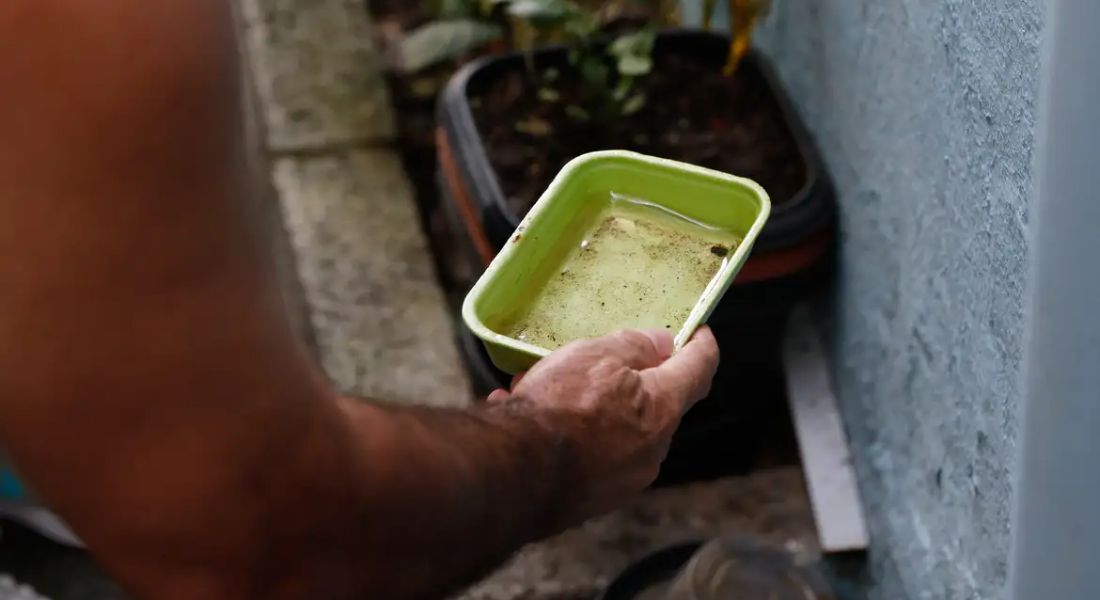 Vírus causador do chikungunya ainda traz uma série de preocupações para o Brasil.