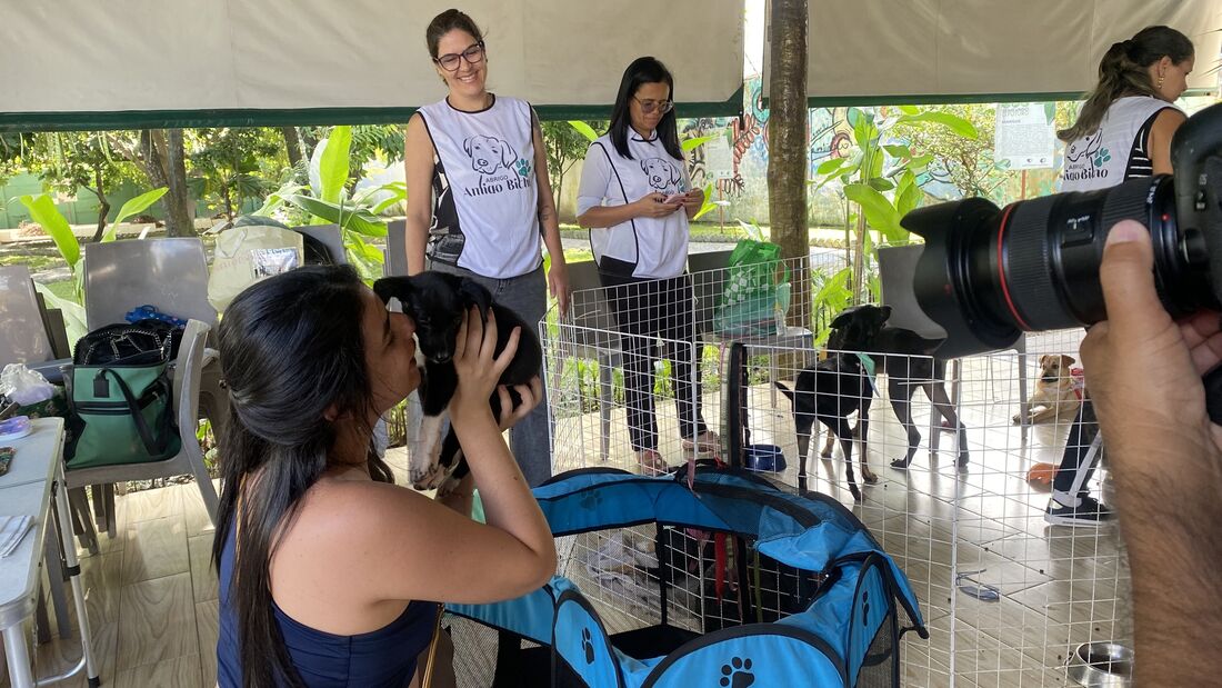 O Abrigo Amigo Bicho levará seus pets para adoção responsável