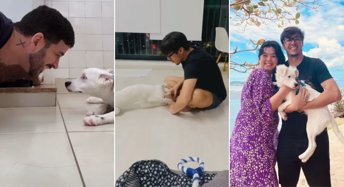 Cãozinho Zoki foi adotado por casal com surdez