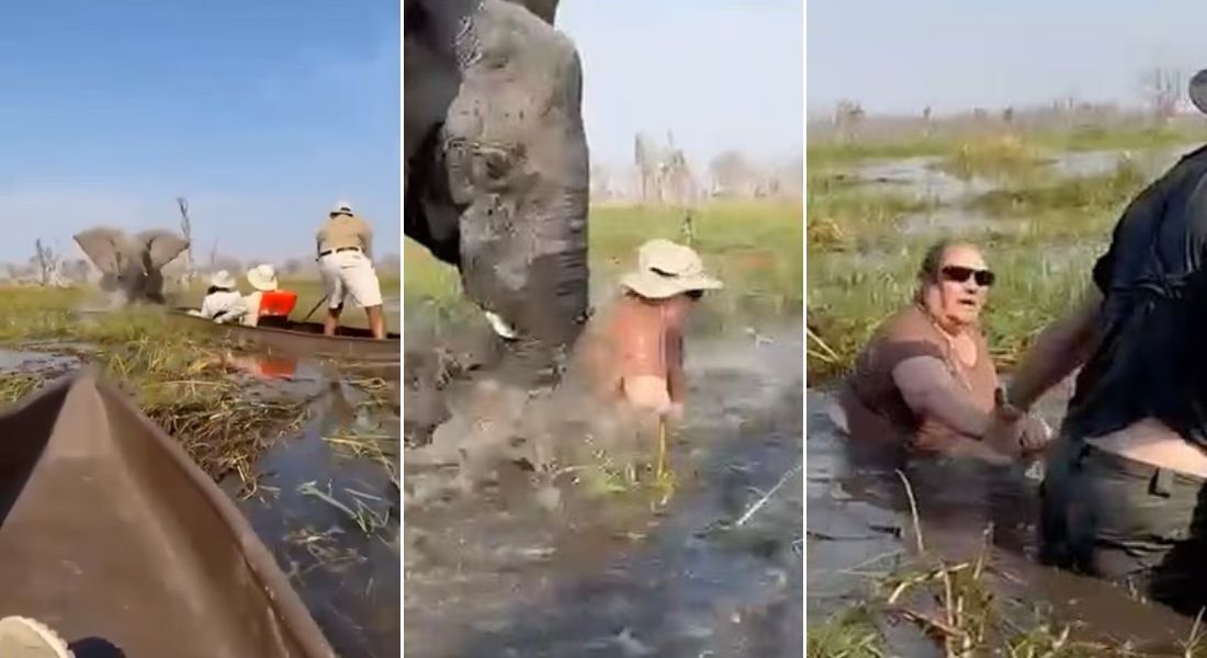 Turista conseguiu escapar com ajuda do marido