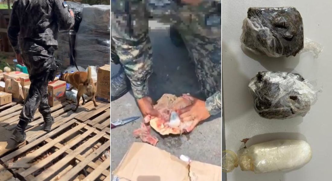 Cão farejador ajudou policiais a encontrar a droga