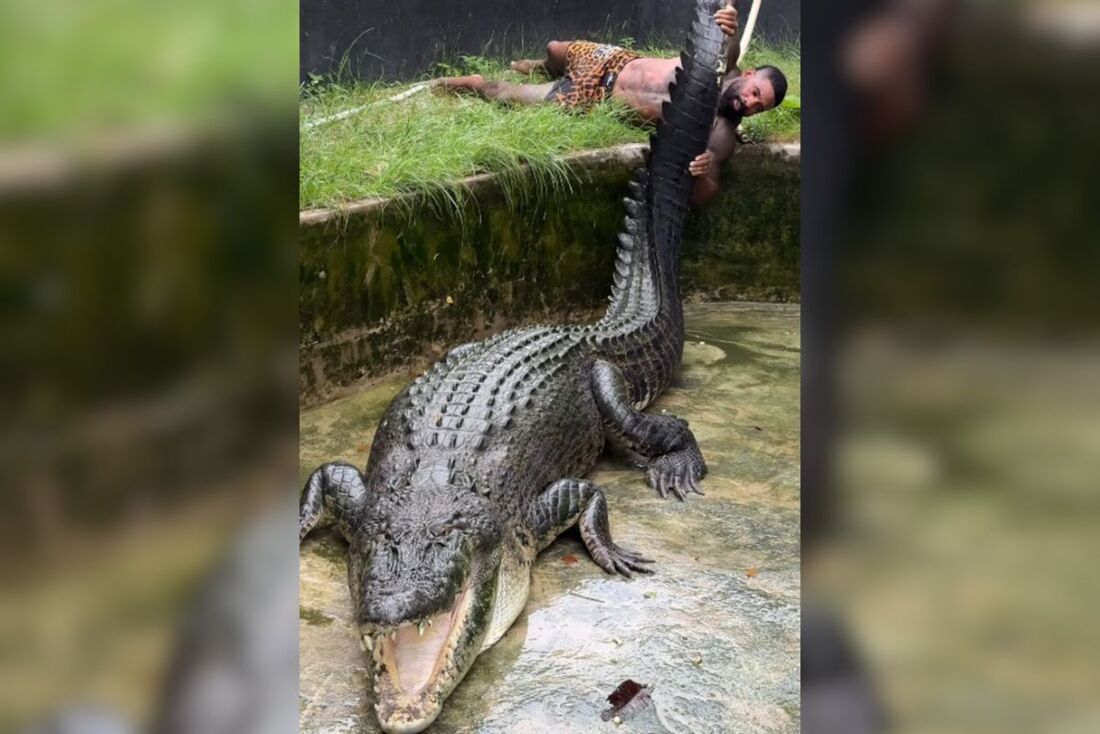 Mike Holston é conhecido por suas interações com espécies perigosas.