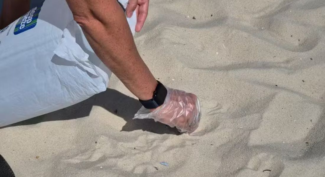 Mutirão retira mais de 300 quilos de lixo de praia no Rio de Janeiro