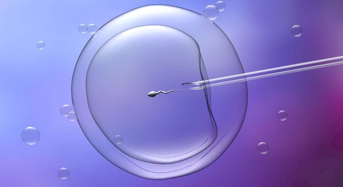O número de ciclos planejados de congelamento eletivo de óvulos quase quadruplicou entre 2014 e 2021