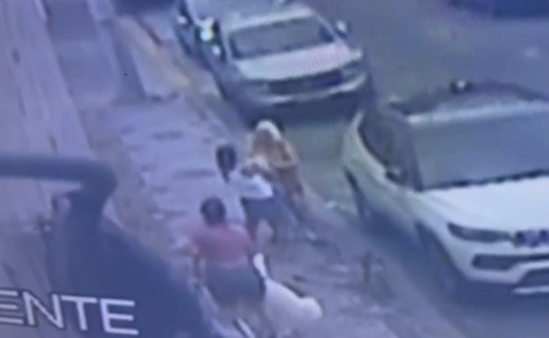 Mulher e uma cadela foram atacadas por um cão de grande porte enquanto passeavam no bairro das Graças