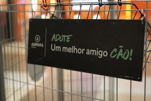 O evento será realizado na Galeria Carrefour Recife