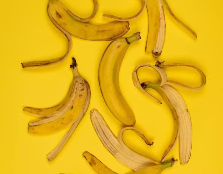 As cascas de banana podem oferecer bons nutrientes