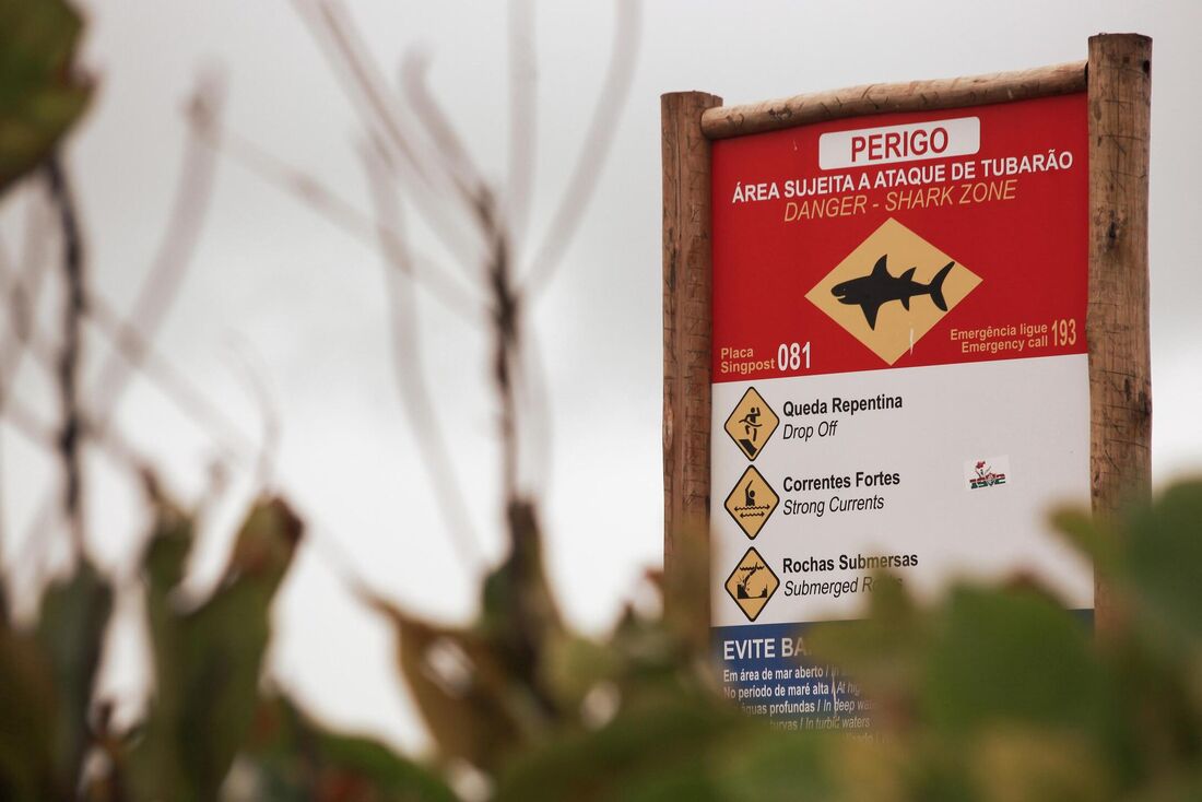 Ação foi lançada nesta sexta (5)