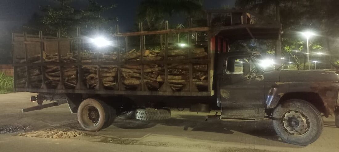 Caminhão F-14.000 e aproximadamente 25m&#xB3; de lenha de diversas espécies foram apreendidos