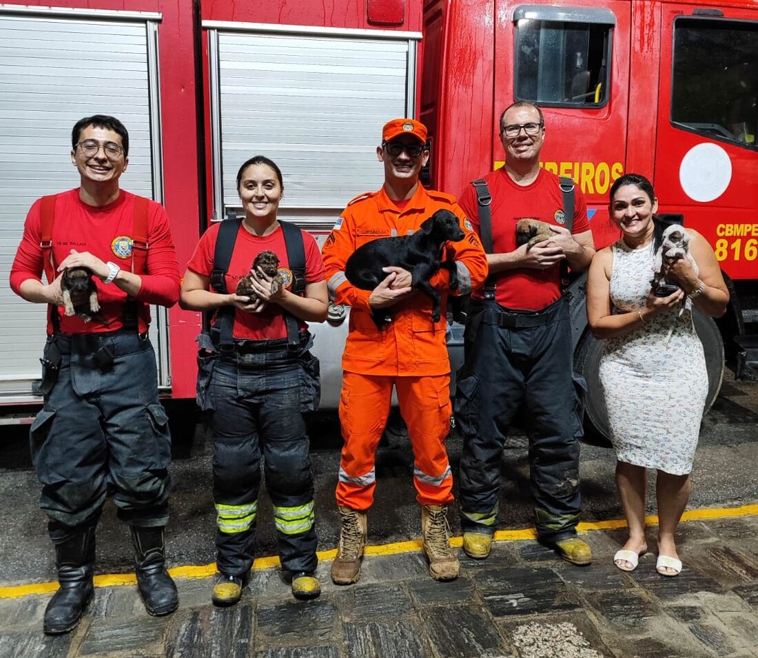Caso aconteceu na noite da segunda-feira (8), na rua da Lama, no bairro de São Domingos