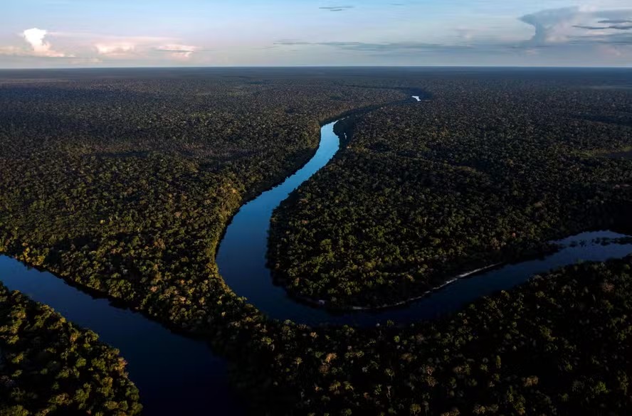 Imagem aérea da floresta amazônica