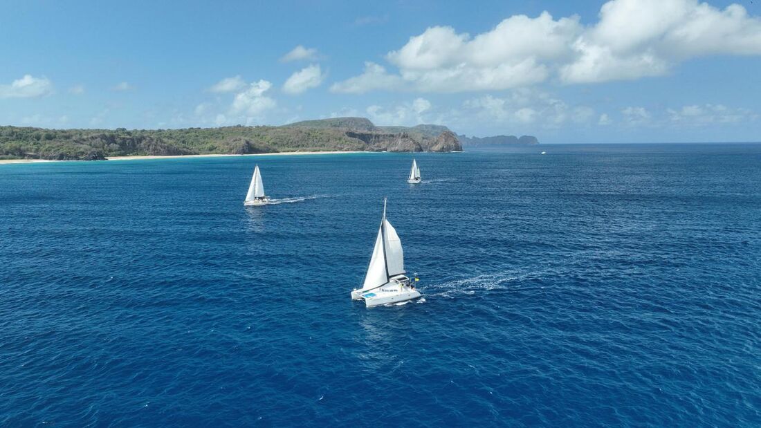 89 barcos já completaram a Refeno entre este domingo (28) e esta segunda (29)