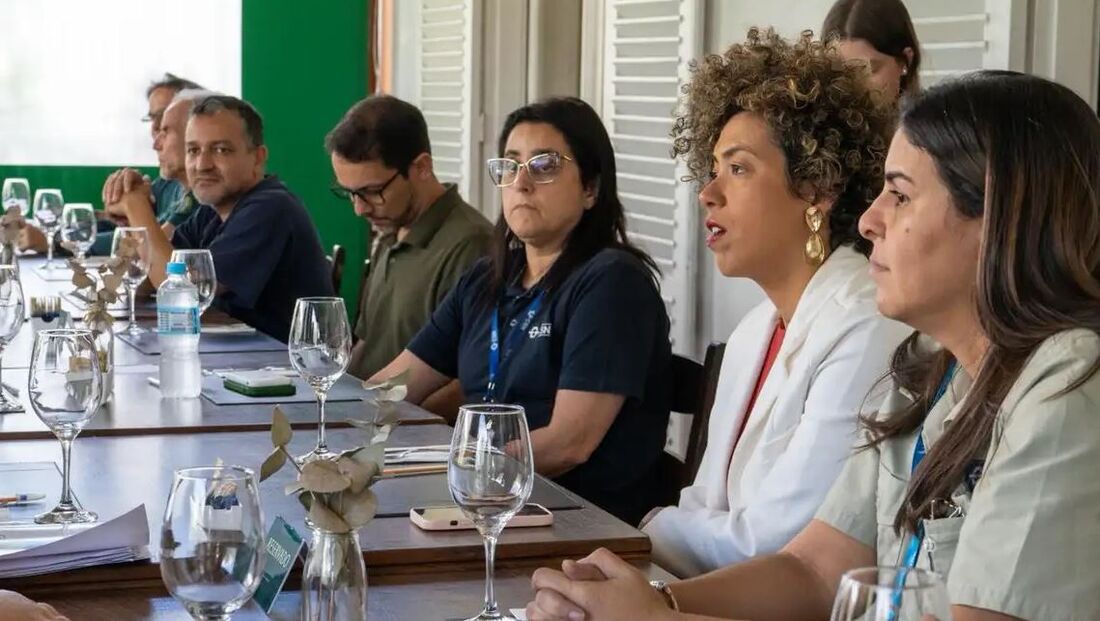 Deputada federal Talíria Petrone (PSOL-RJ) esteve à frente do encontro e disse que os dados apresentados pela CSN contradizem estudos da Fundação Oswaldo Cruz (Fiocruz) e de universidades
