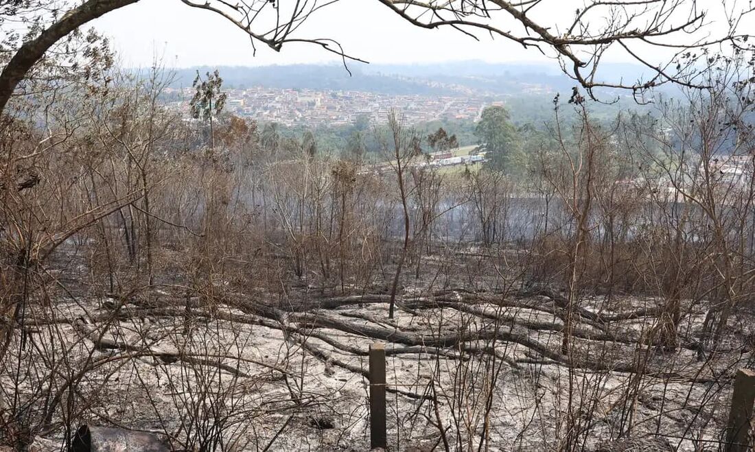 Estudo aponta que financiamento climático no Brasil é desigual