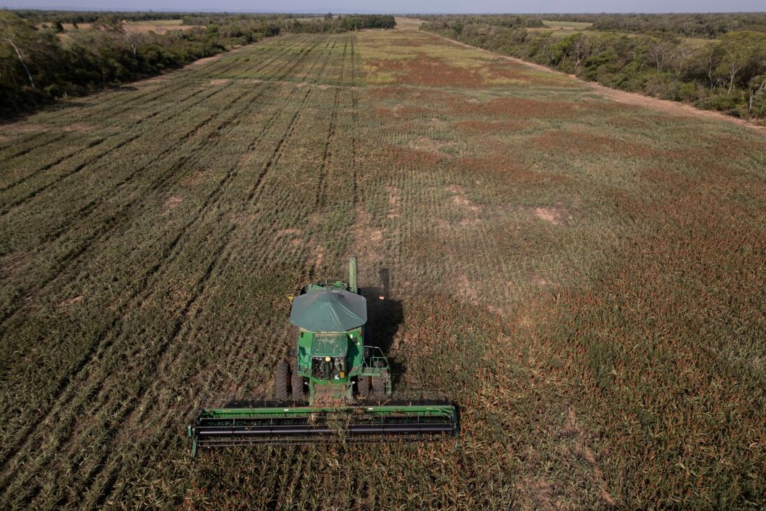 Setor agrícola da Bolívia aguarda mudança de governo para reativar produção