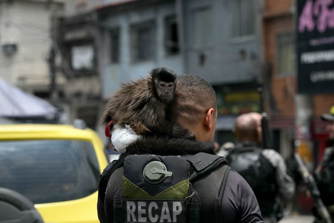 Macaco foi visto no pescoço de policial no Rio