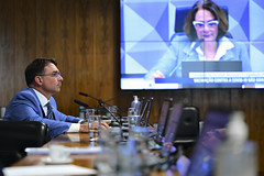 Flávio Bolsonaro é o presidente da Comissão de Segurança Pública do Senado