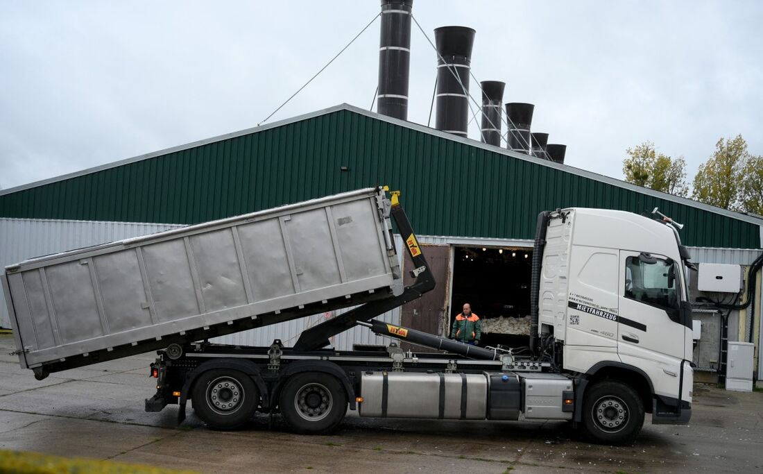 Um caminhão com um contêiner é visto no terreno de uma granja avícola onde os animais tiveram que ser sacrificados em meio à gripe aviária