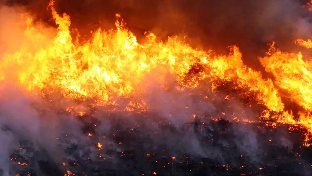 Ainda não se tem uma estimativa oficial do total de área queimada