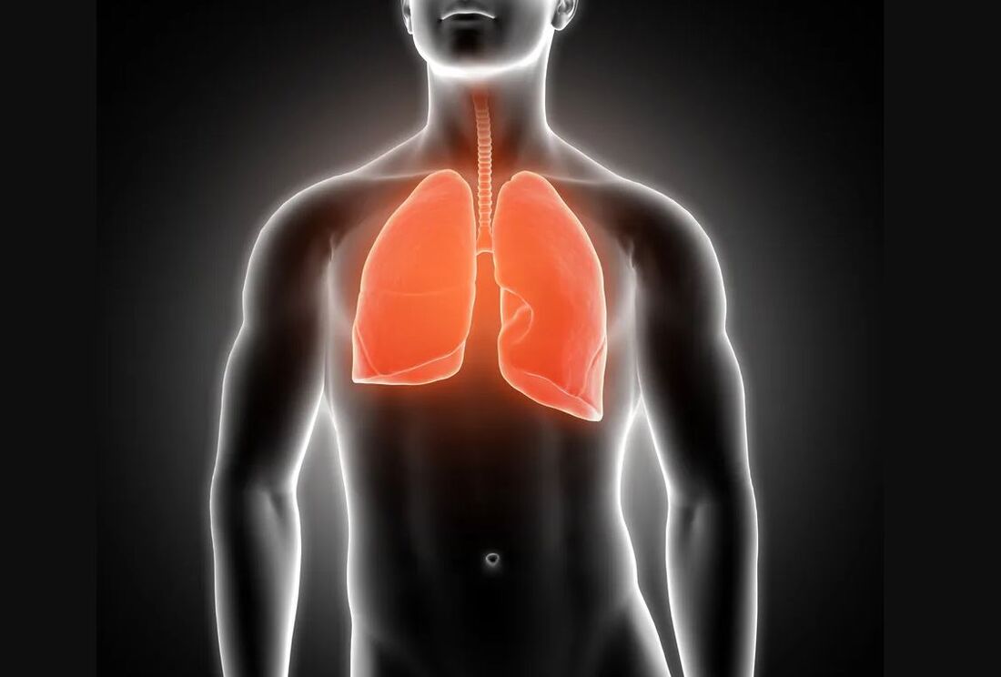 Novo conceito promete resgatar vias aéreas e pulmões bloqueados por meio do fornecimento de oxigênio pelo ânus