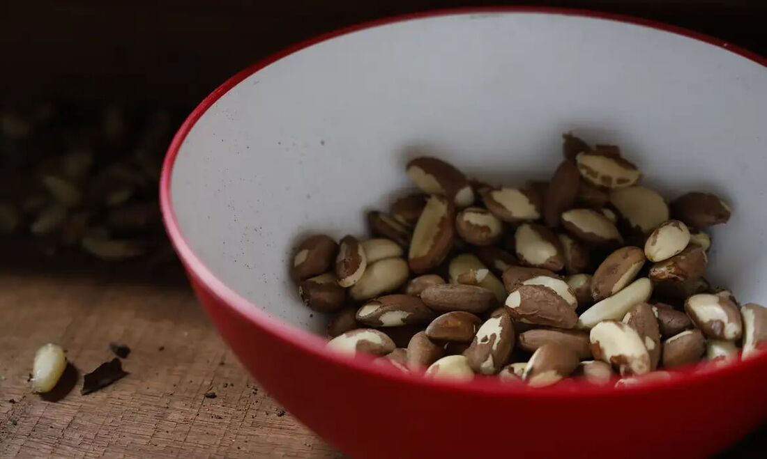 Agricultores familiares da Região Nordeste estarão na Anuga 2025, a maior feira internacional de alimentos e bebidas, que é realizada entre este sábado (4) e terça (7), em Colônia, na Alemanha.
